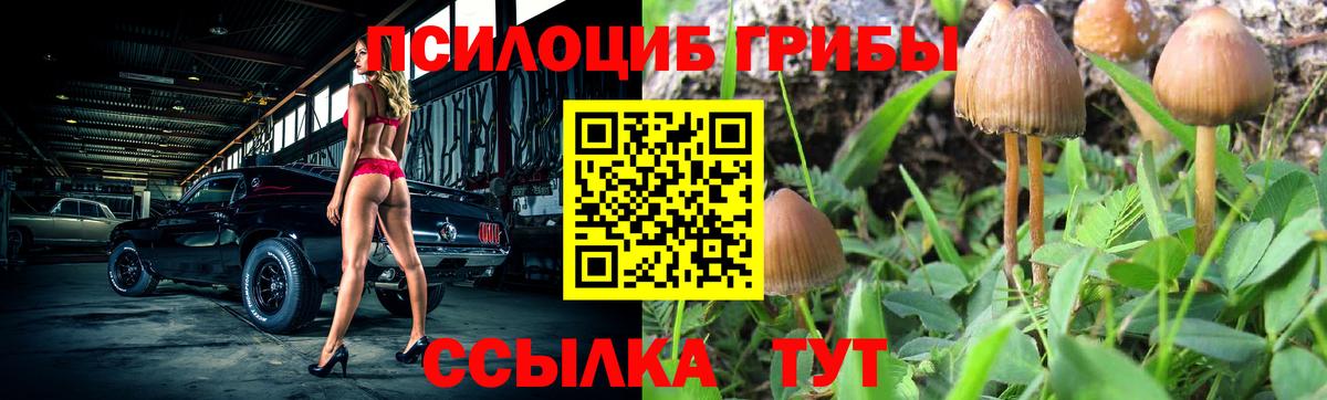 Галлюциногенные грибы MAGIC MUSHROOMS Майкоп