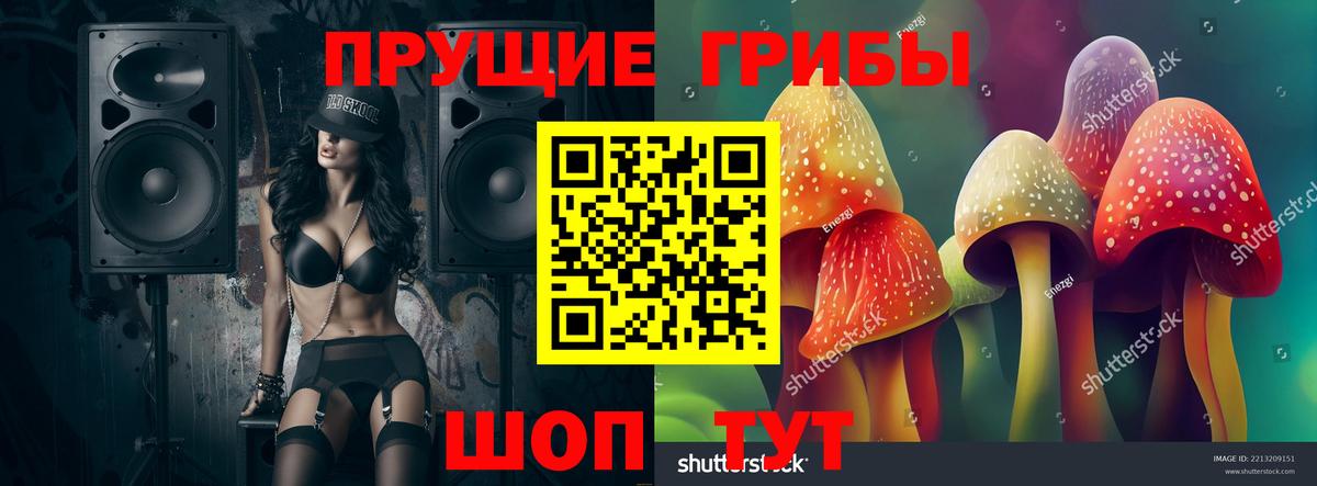 Галлюциногенные грибы Magic Shrooms  Псилоцибиновые грибы Magic Shrooms  Майкоп  Вход с VPN 